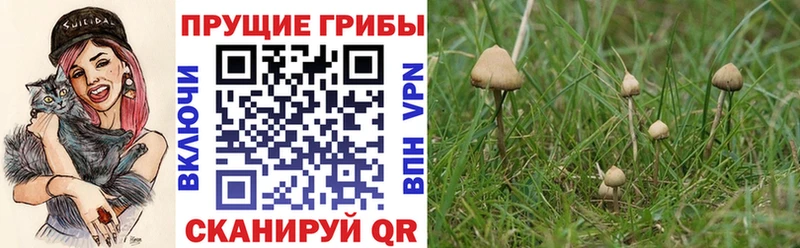 Галлюциногенные грибы ЛСД Неман