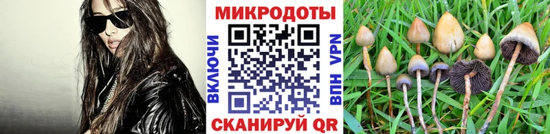 Галлюциногенные грибы MAGIC MUSHROOMS  Купить  Неман 